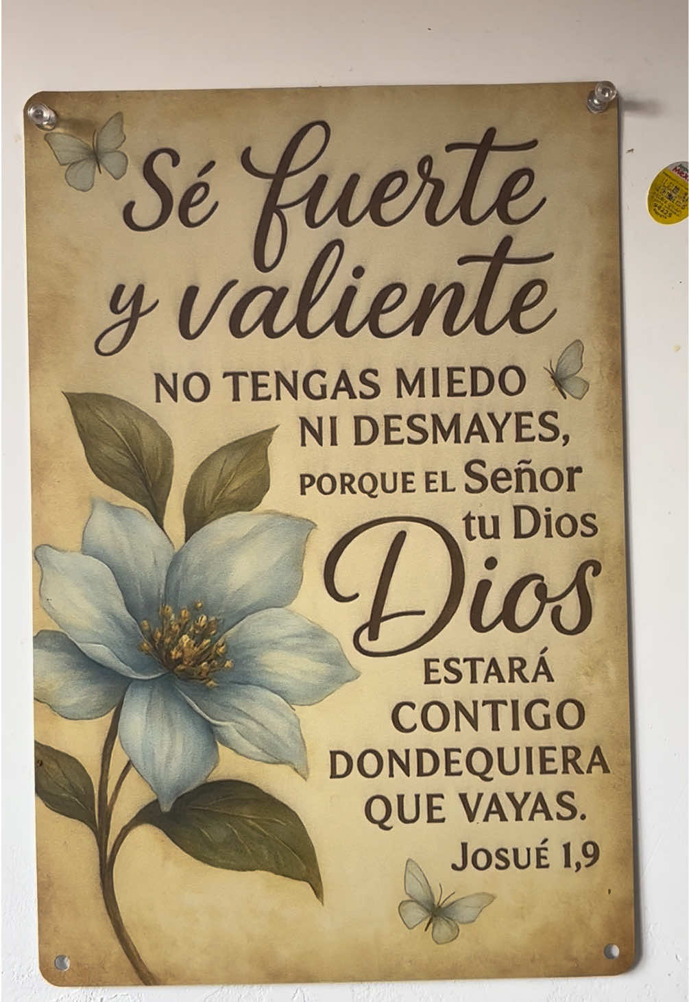 @🌸 Chuy🌸