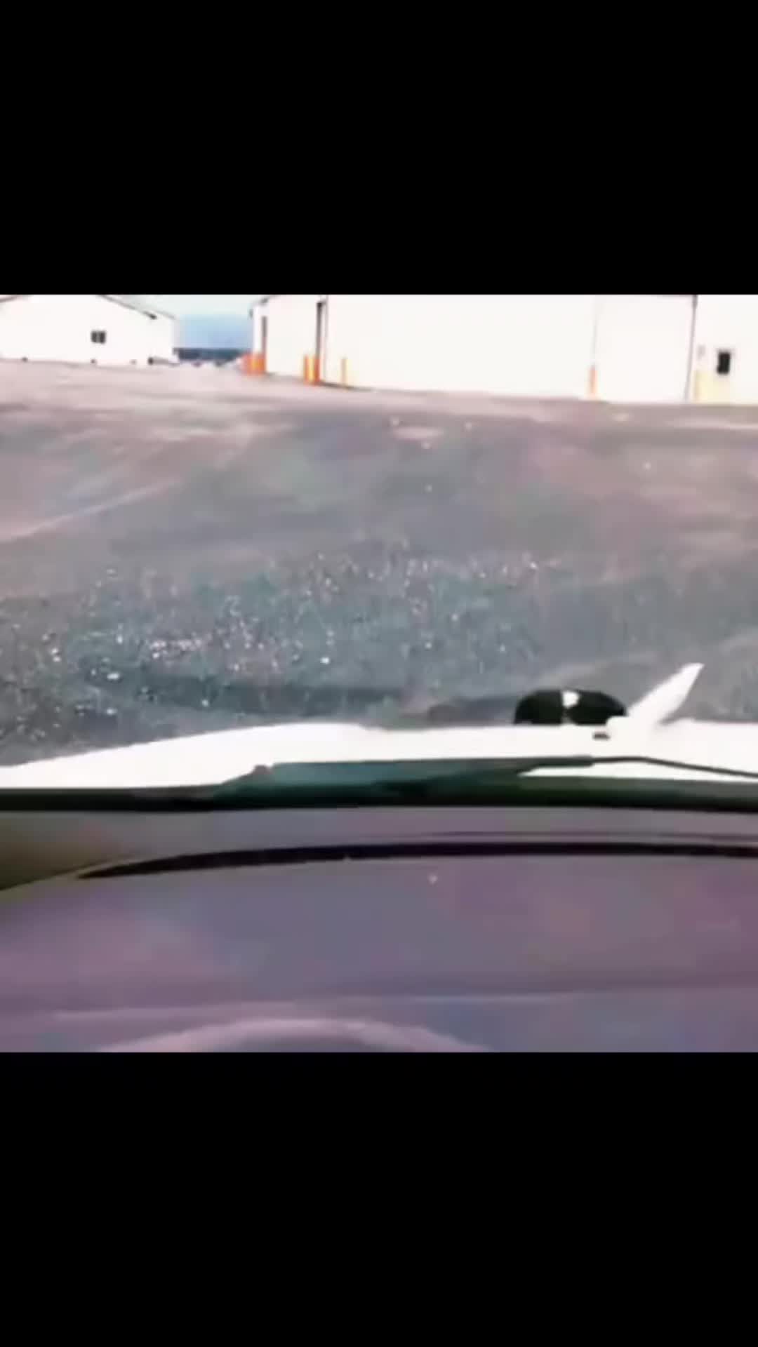 @rocksarecoolorsomeshit