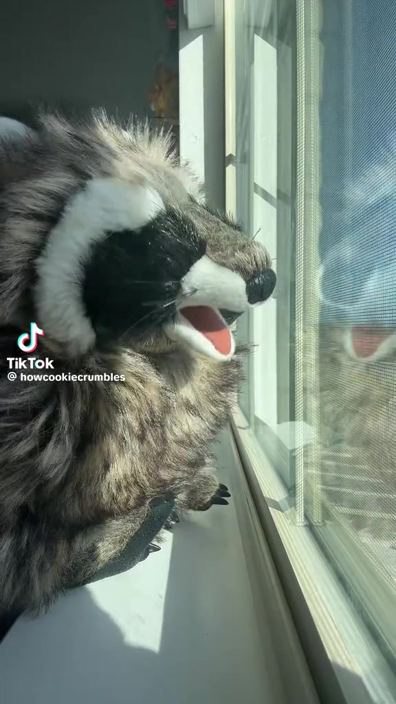 @𝓙𝓪𝓷𝓾𝓮𝓵