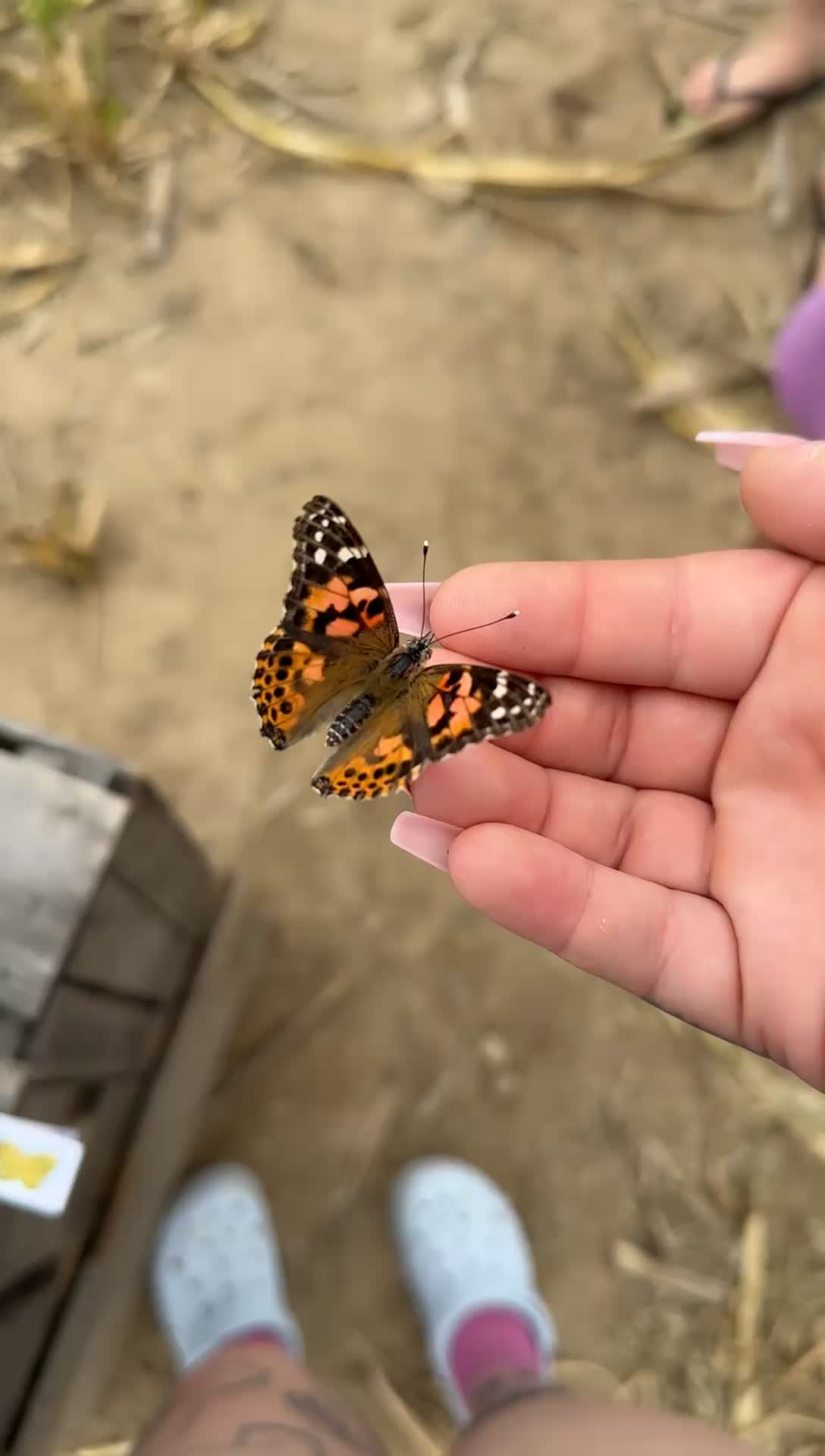 @lainypop420