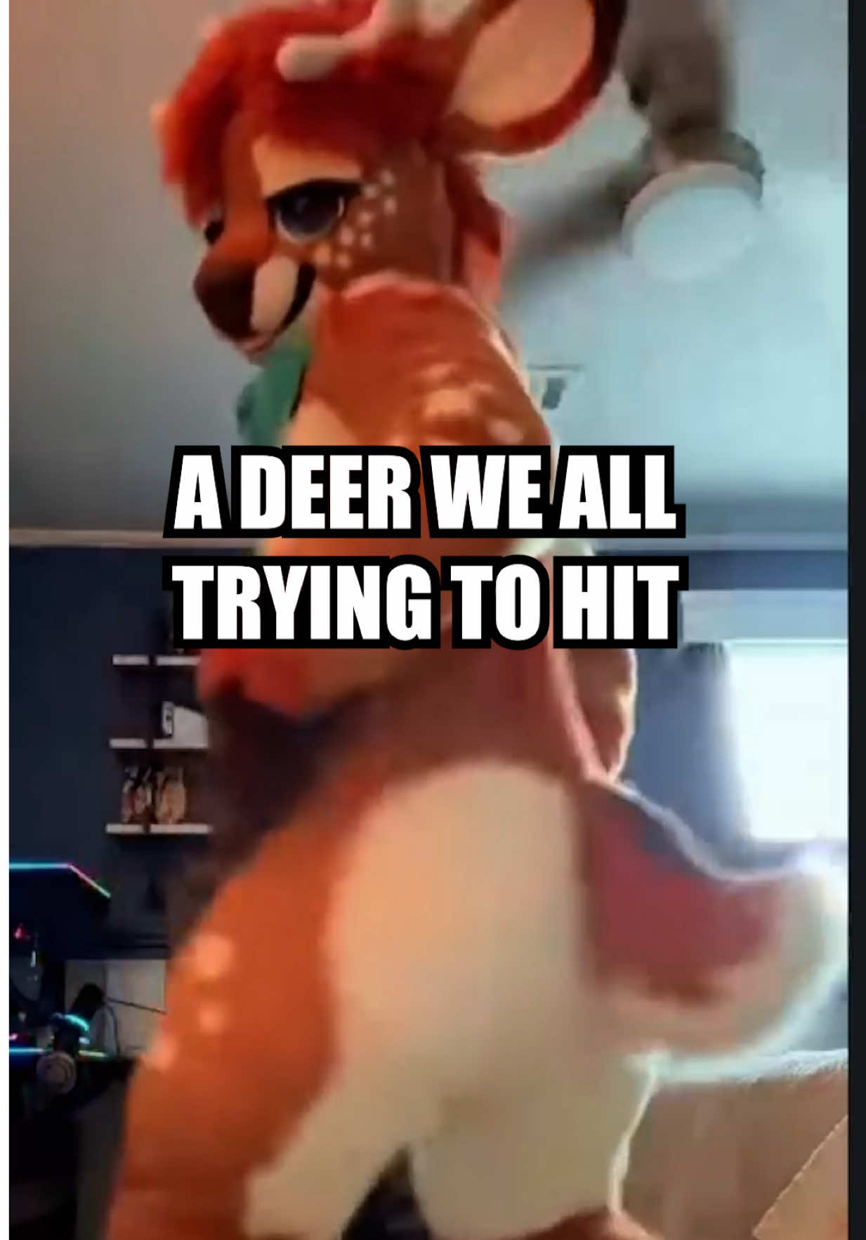 @Scooby Entertainment