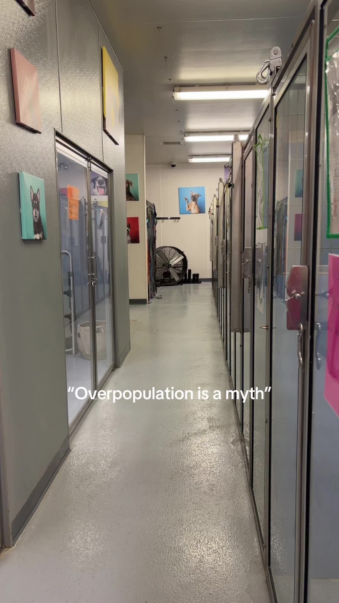 @Nicolesuffredini