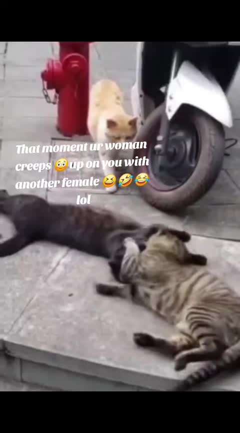 @phrass876