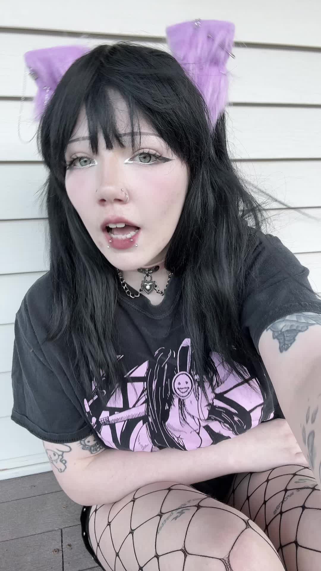 @kitty