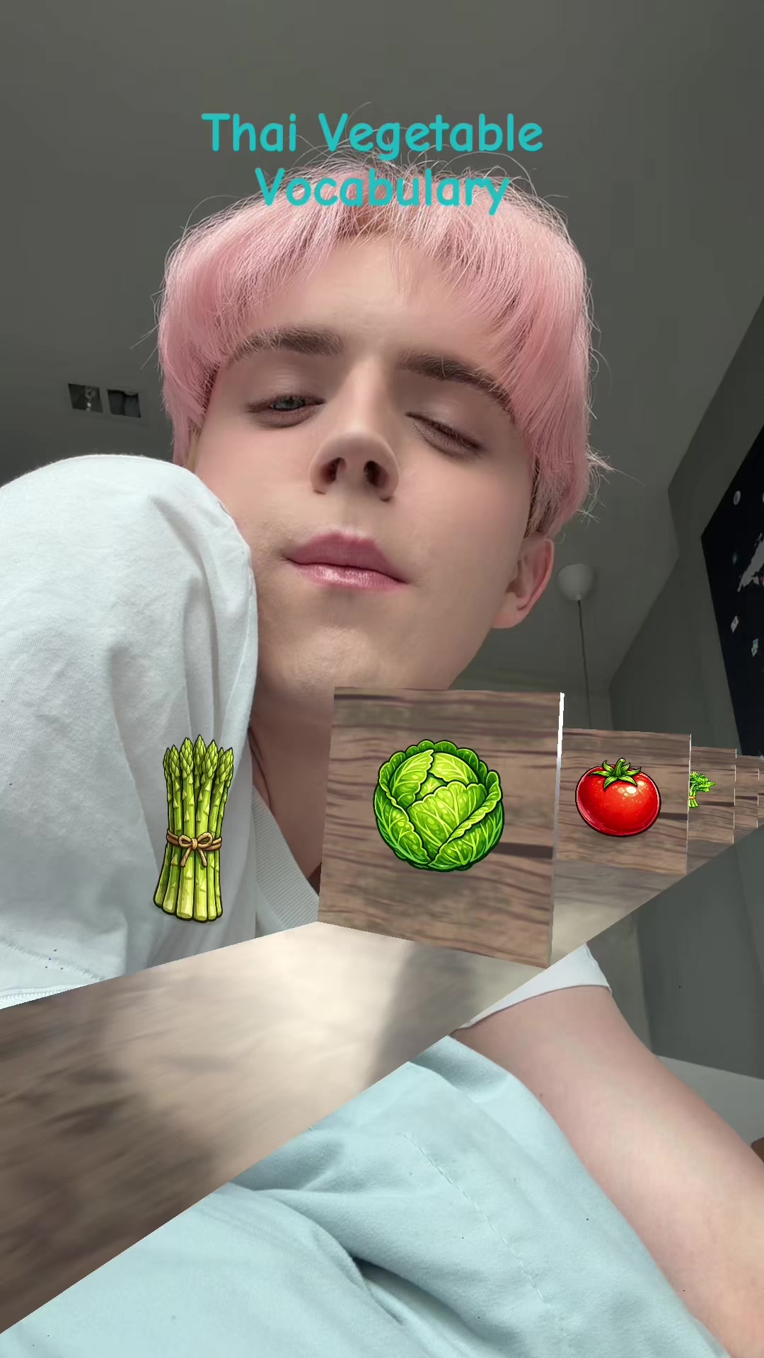 @Tyler泰樂