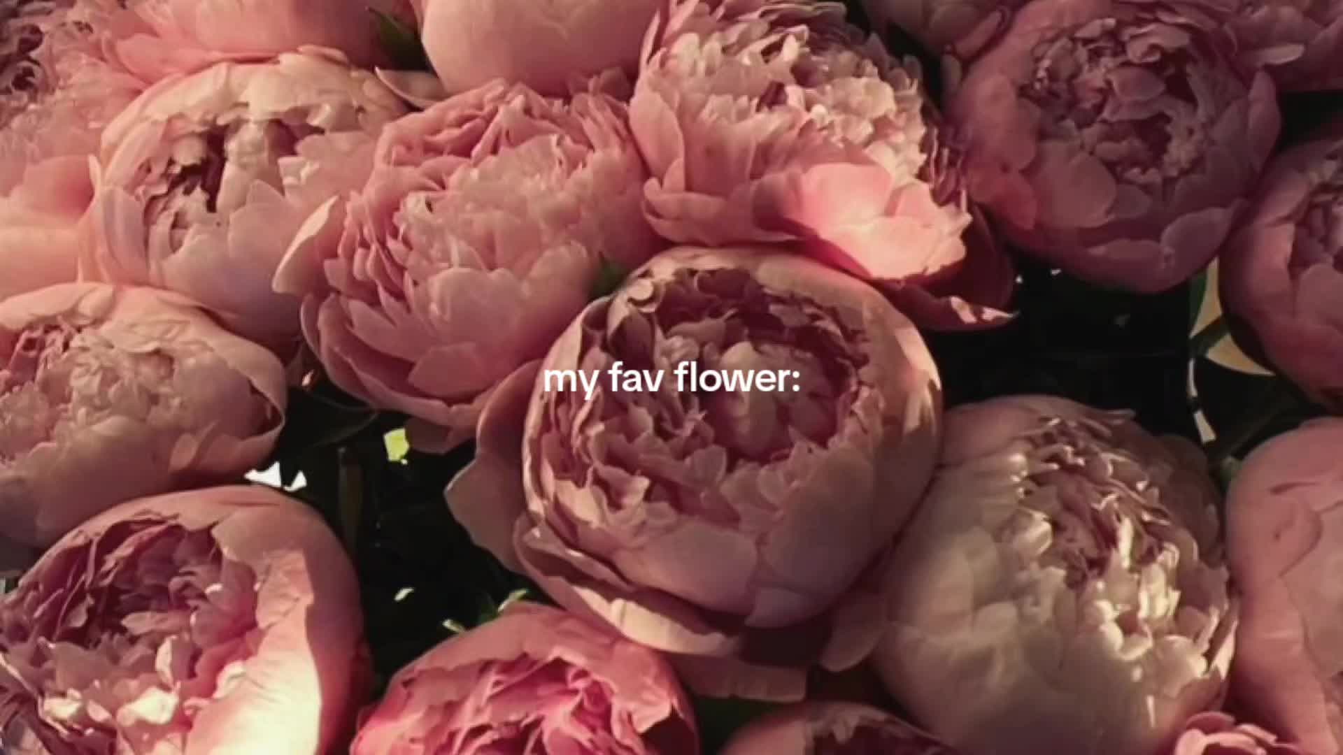 @𝑾𝒚𝒍𝒐𝒔🍸