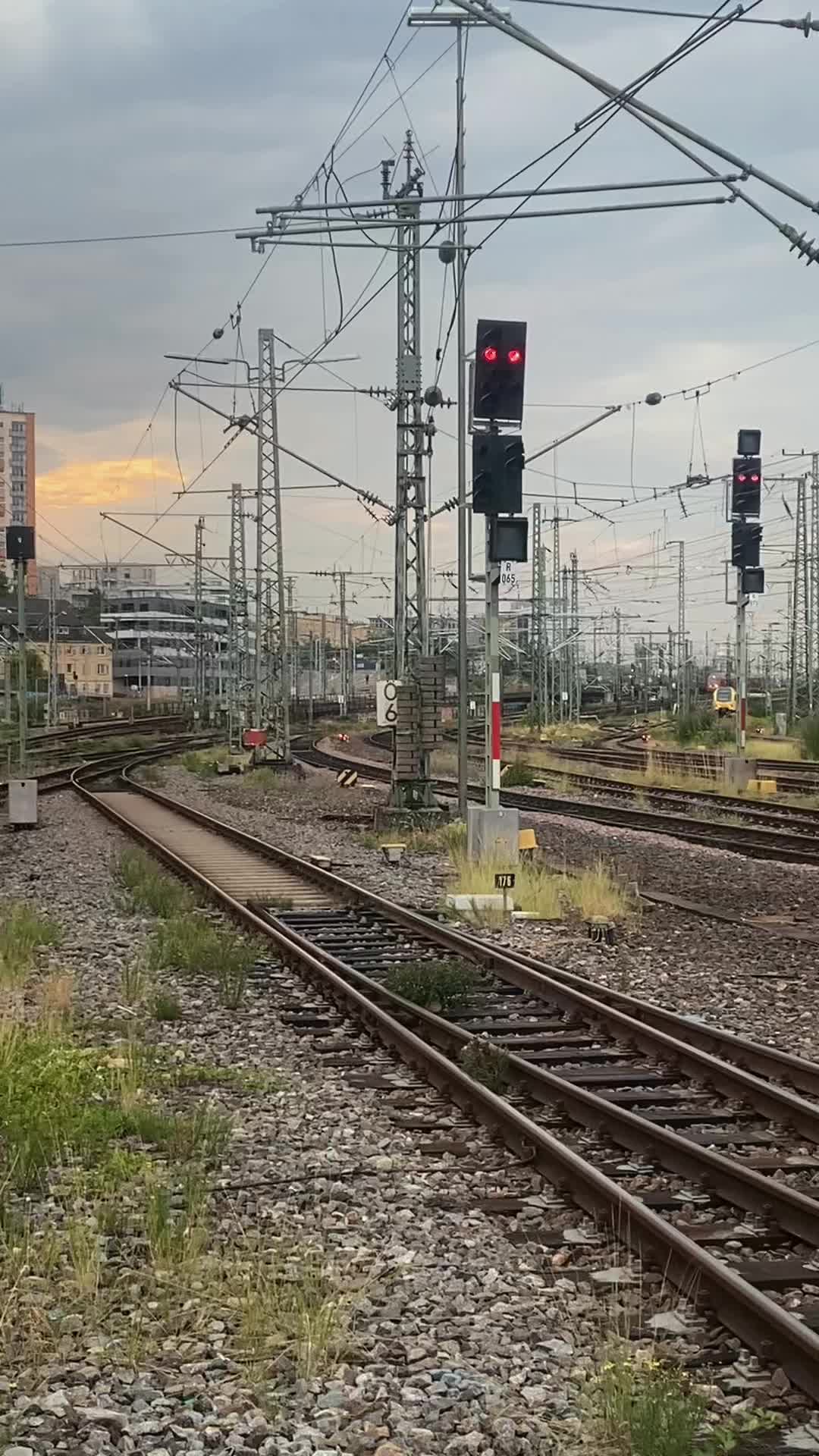 @trainspotterlevi