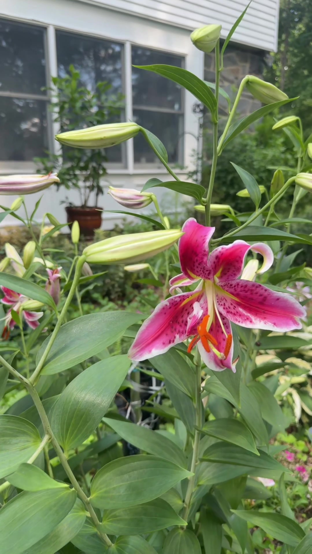 @regrownature