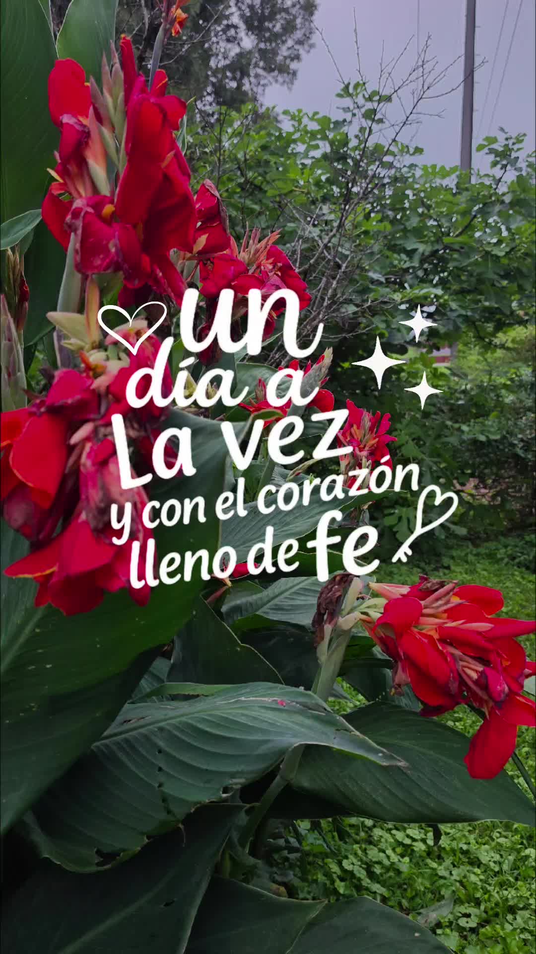 @doly.dfn