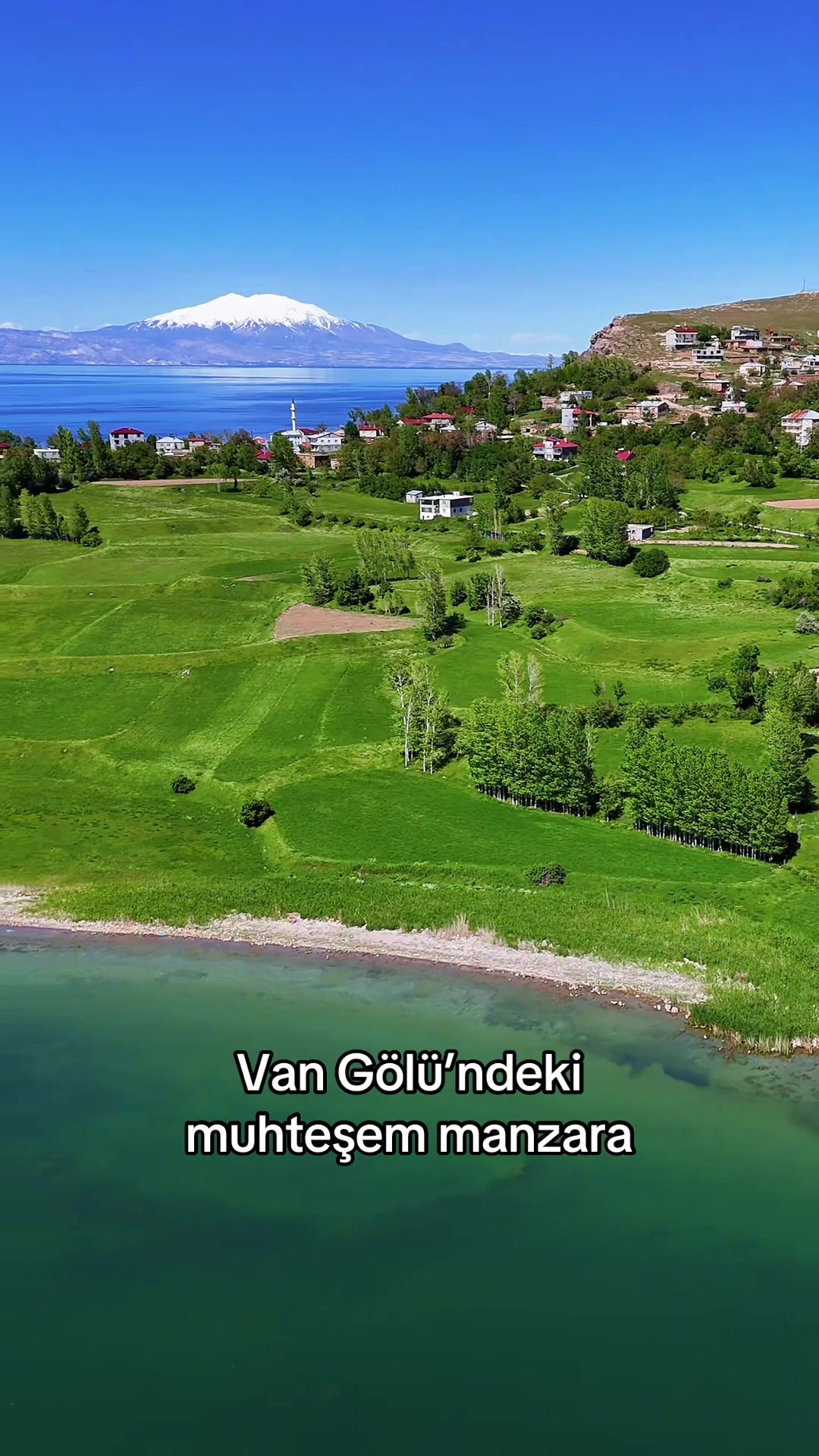 @Muzaffer Salcıoğlu