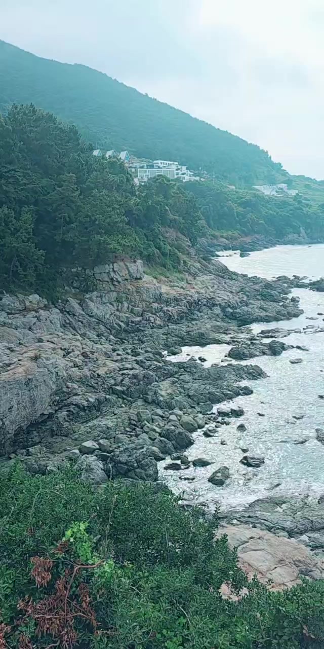 @커피향