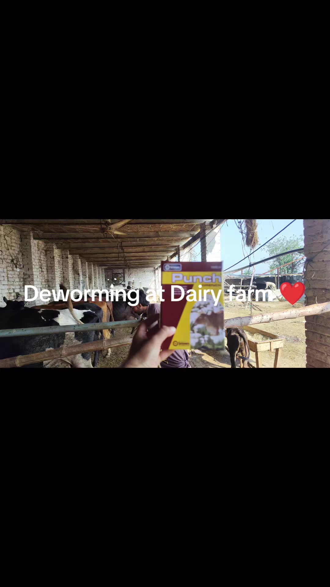 @𝐃𝐨𝐜𝐭𝐨𝐫 𝐇𝐚𝐦𝐳𝐚 𝐀𝐥𝐢