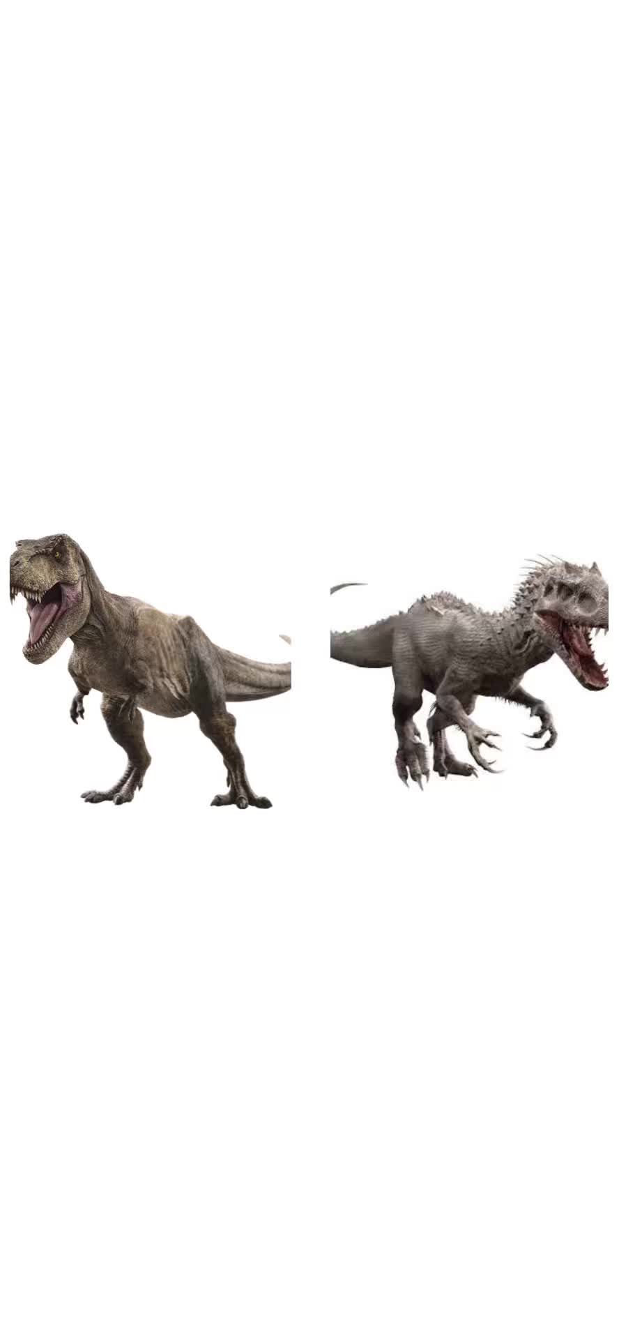 @chippy the yutyrannus