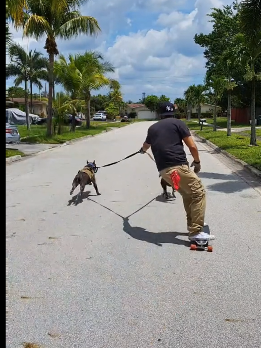 @Just Loko 🐶🐕😍
