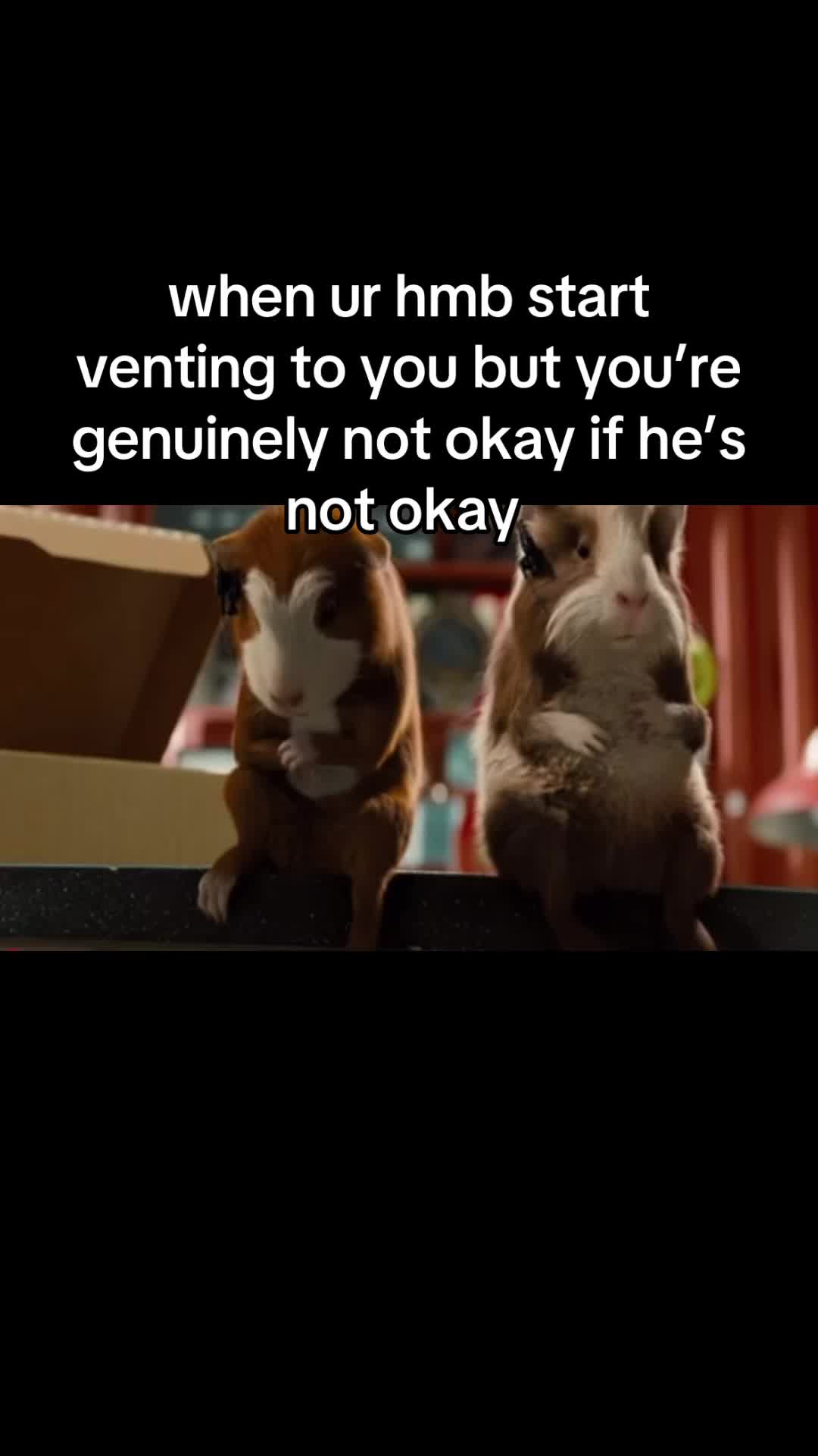 @alex