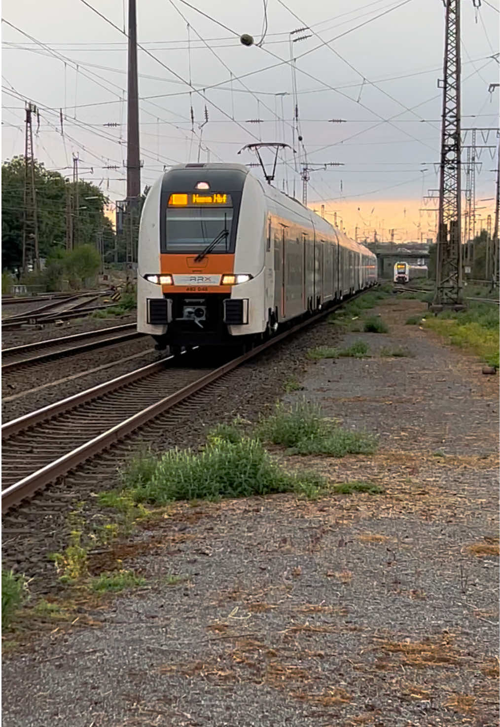 @Trainspotterin_Alina🧃