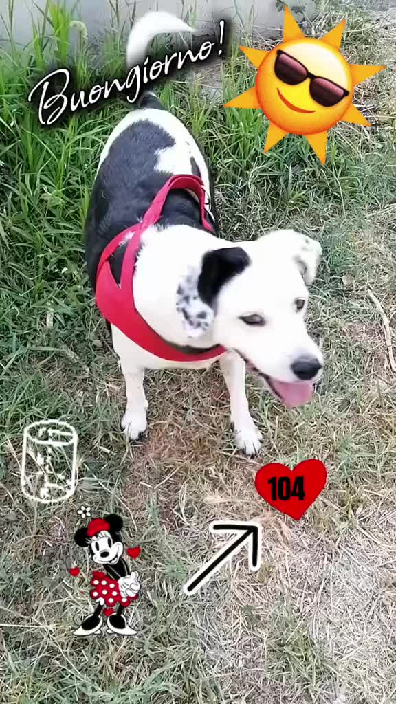 @🖤𝓗𝓸𝓟𝓮🌹