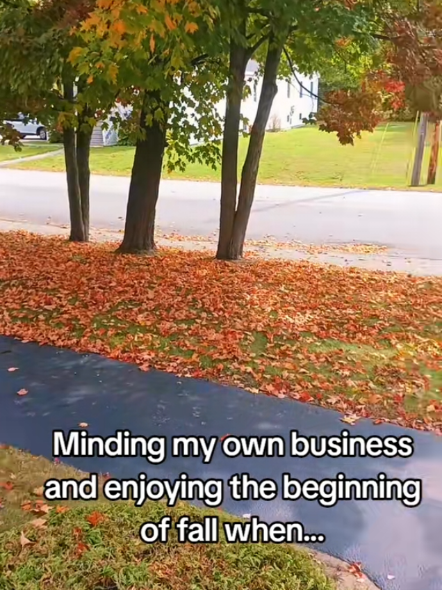 @Anne Faucher