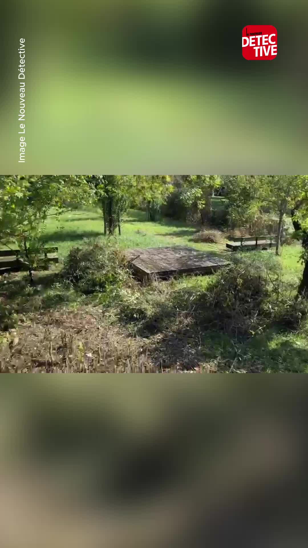 @lenouveaudetective