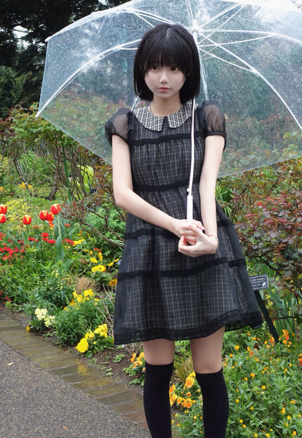 @瑚苓/これれ