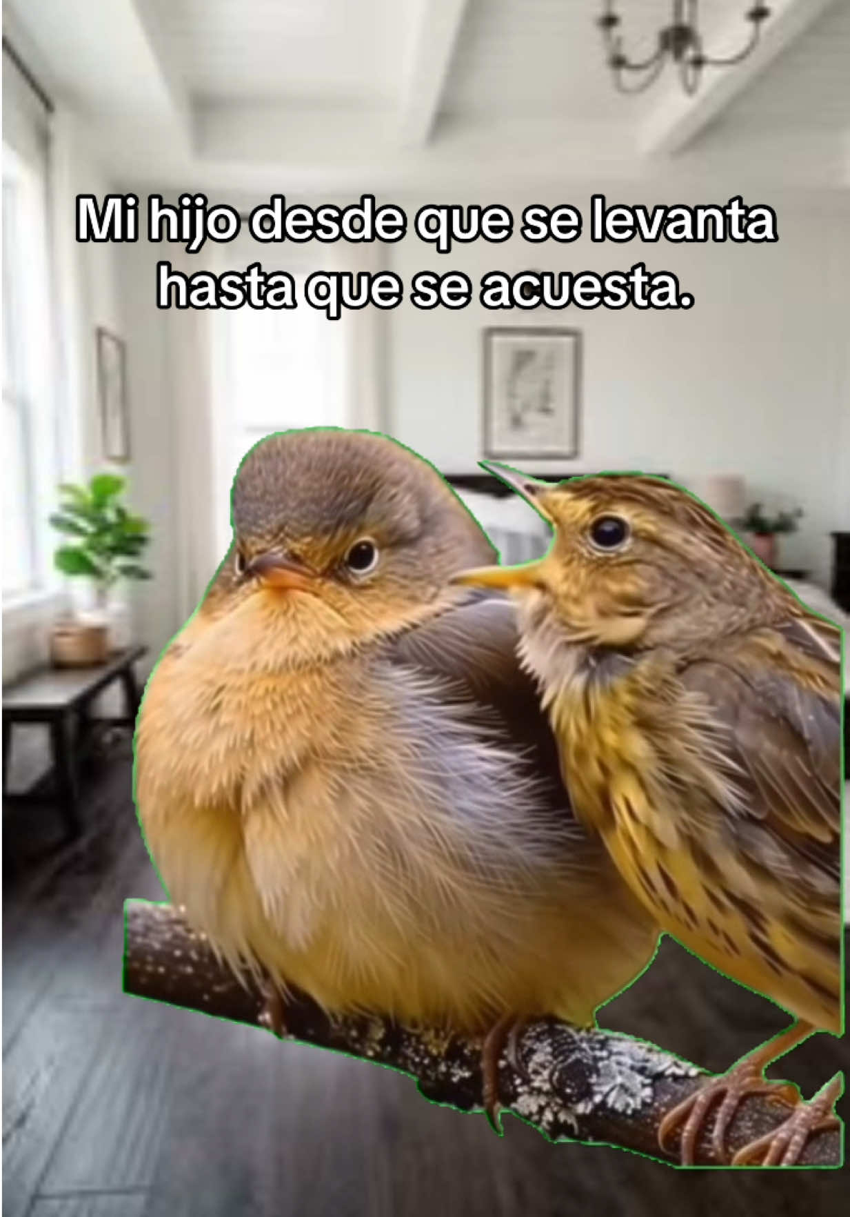 @nidia ✨