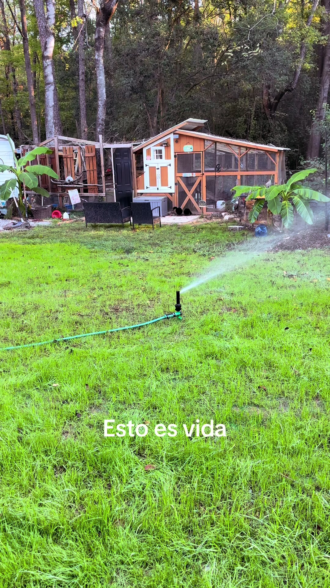 @El moyo
