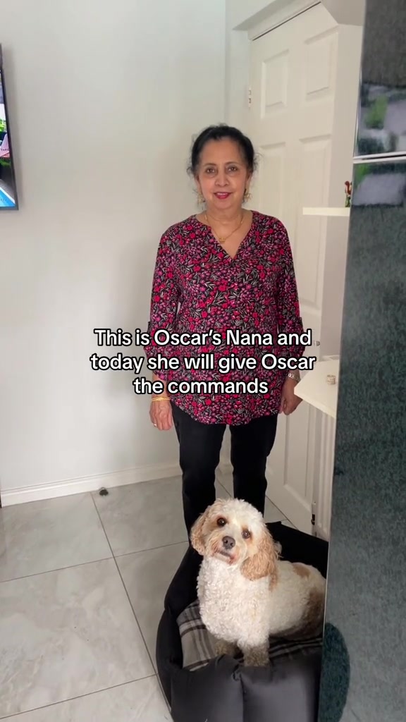 @My Cavachon