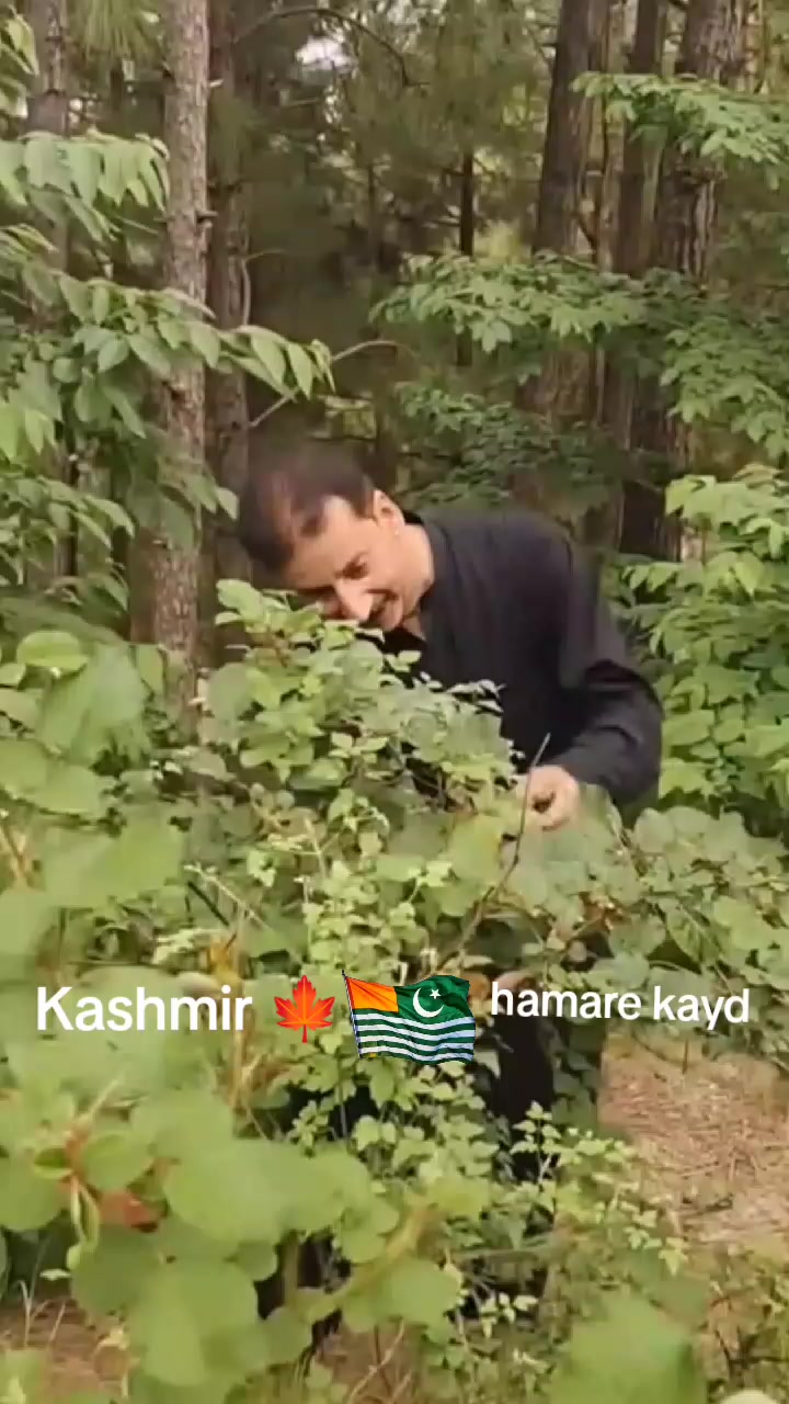 @🍁Raja mudassir 007🚩🇨🇦