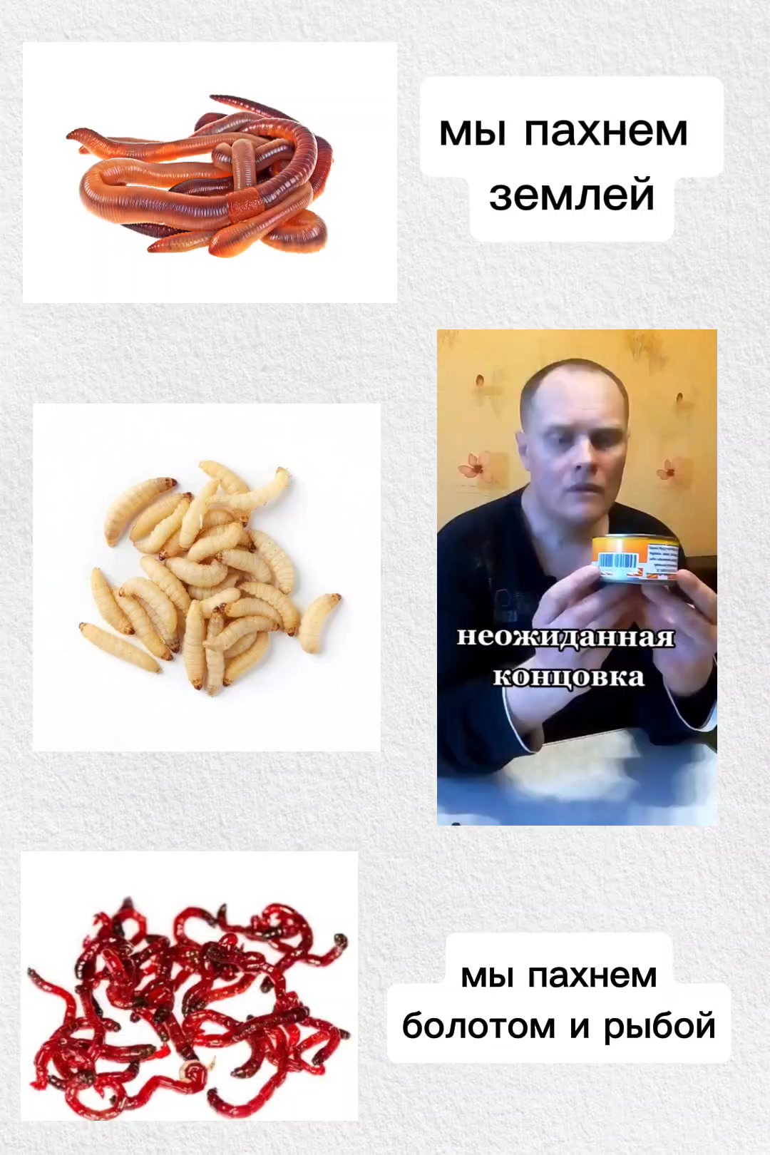 @кроличек🐰