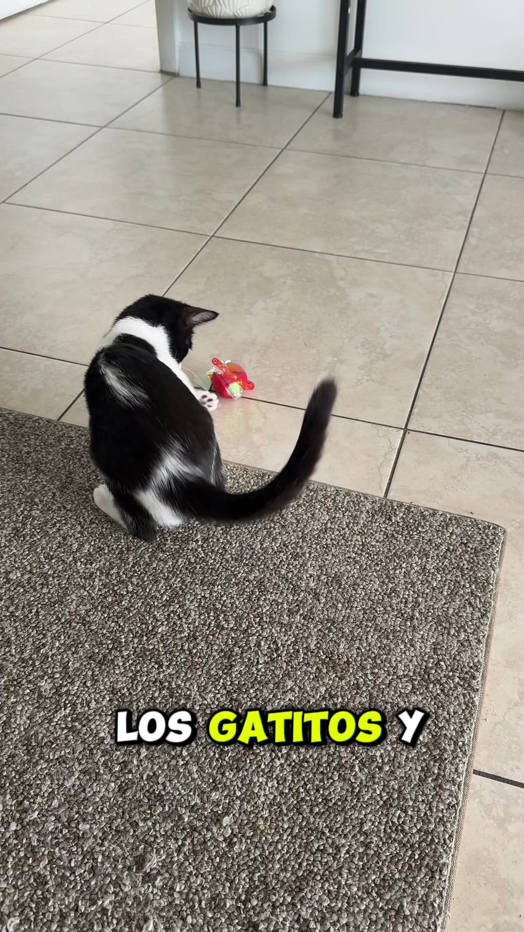 @RIGOBERTO