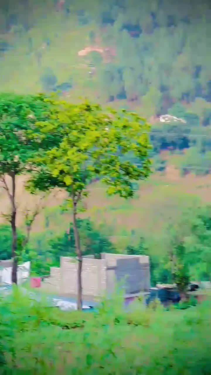 @🚩𝐒𝐲𝐞𝐝 𝐚𝐧𝐚𝐬🫀