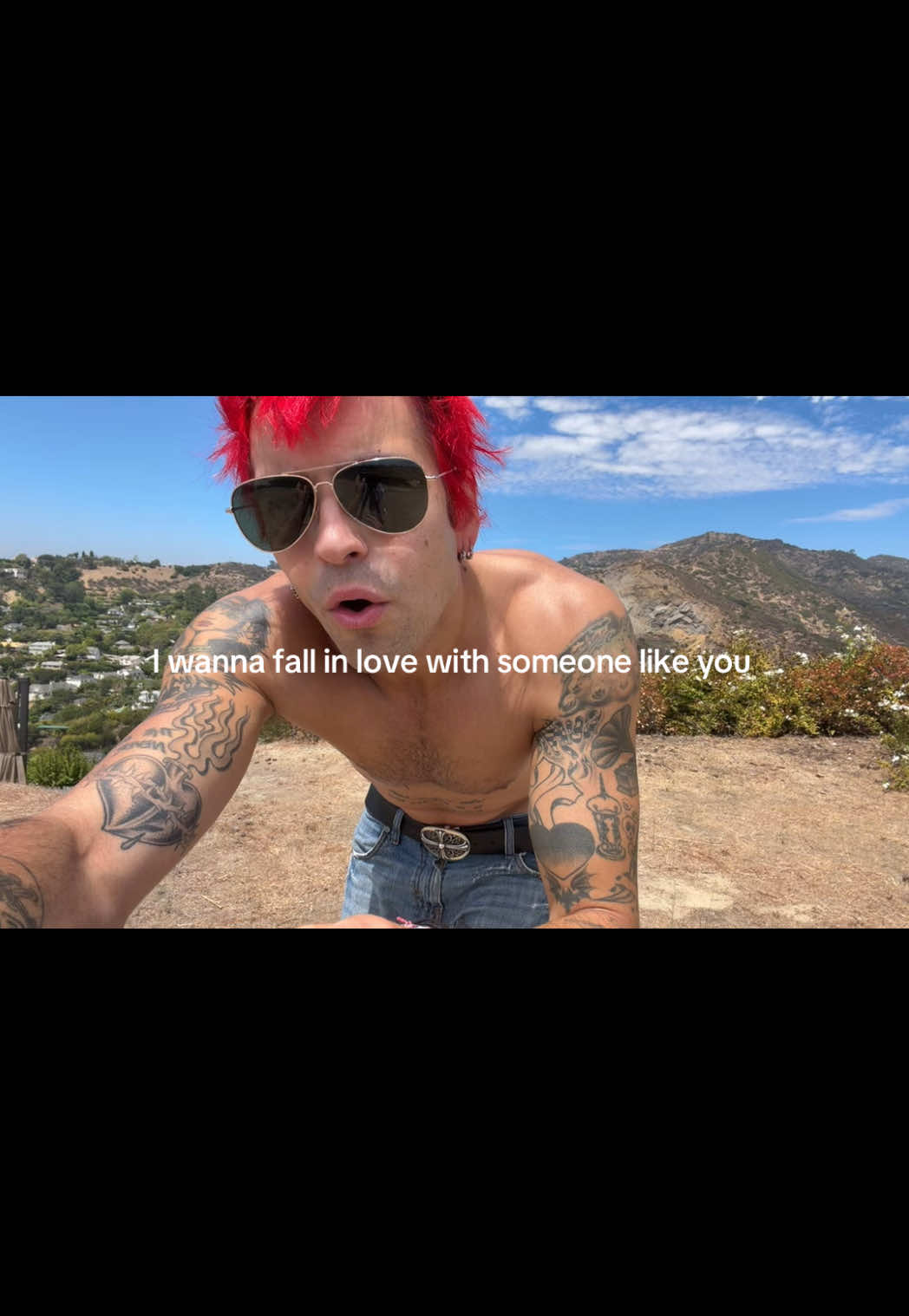 @sebtorgus