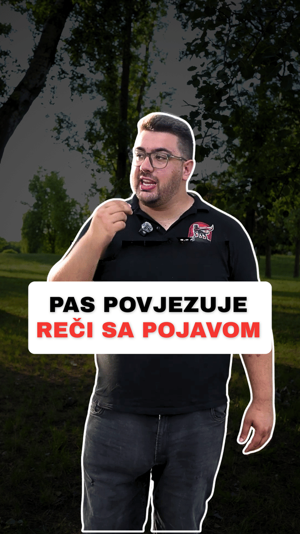 @superdog.akademija