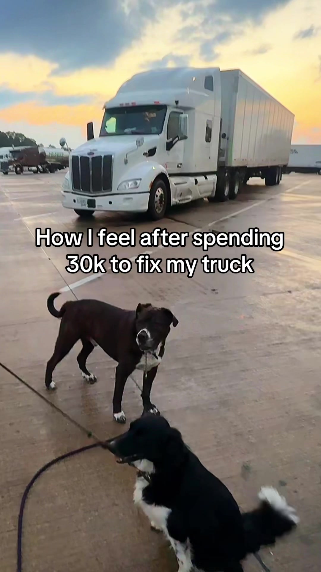 @curvytrucker