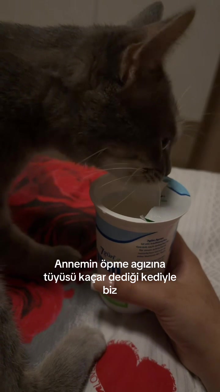@ιρεμ
