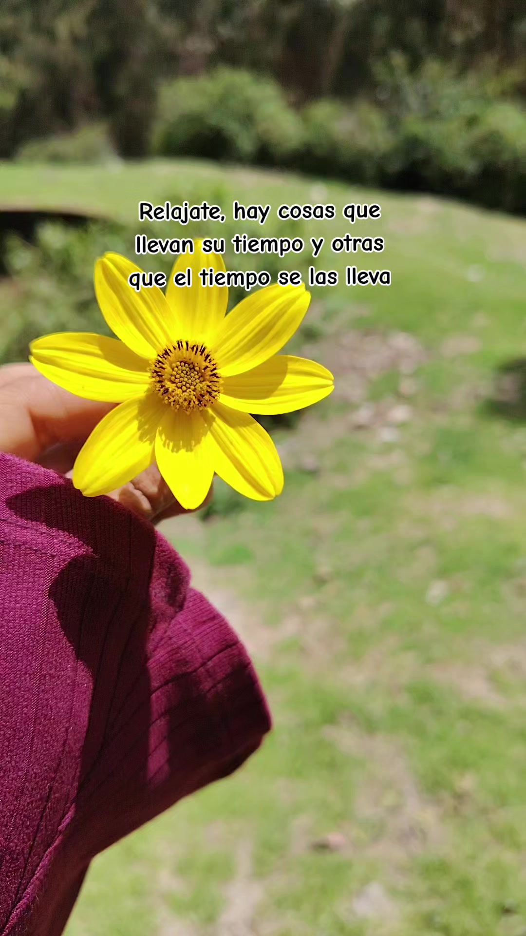 @🦋 Nery Villanueva ❤️💫