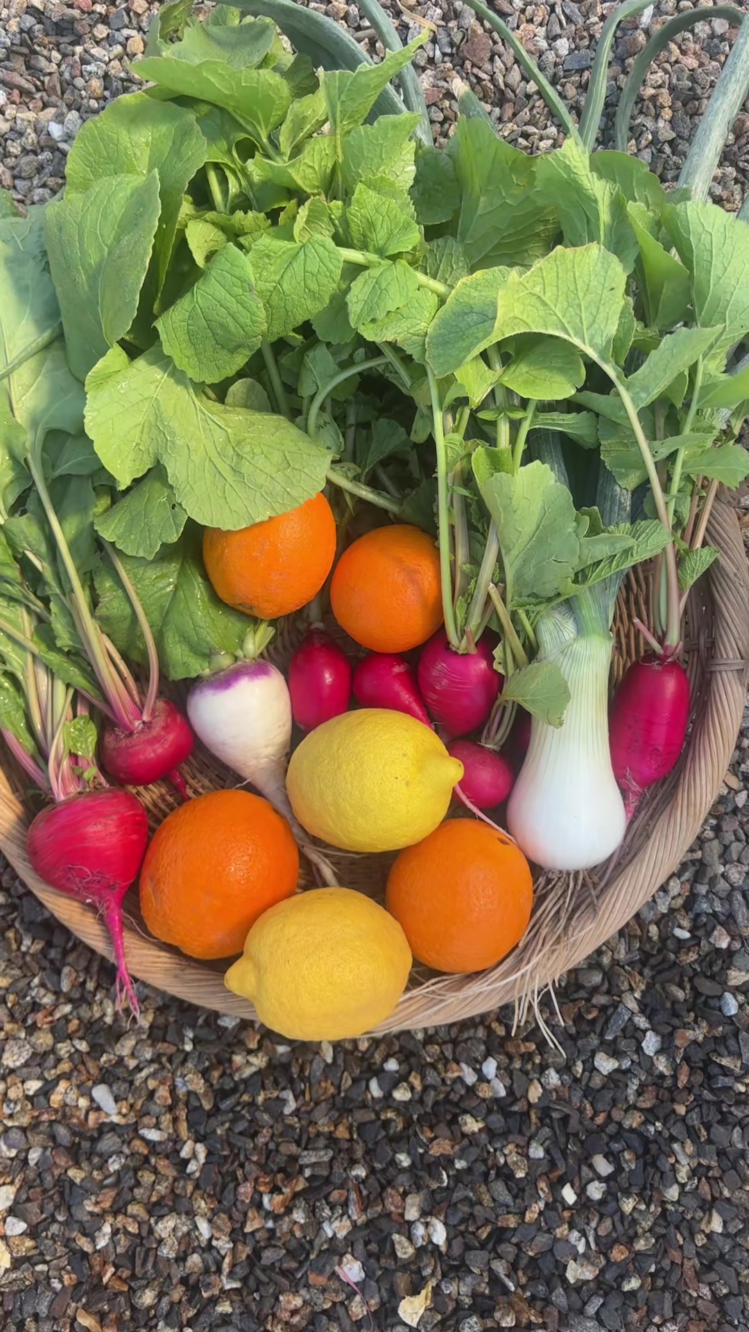 @earthboundgardening