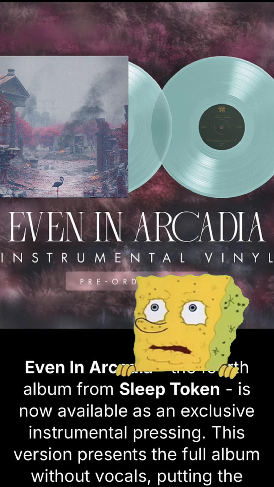 @𝔖𝔥𝔢𝔩𝔟𝔶 🗡️📚✨