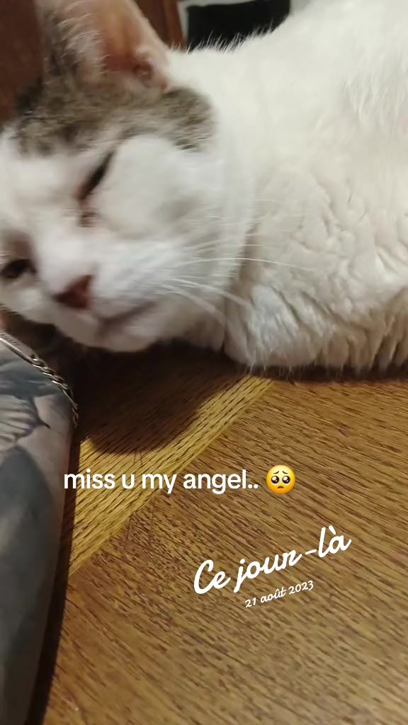 @kayaggy