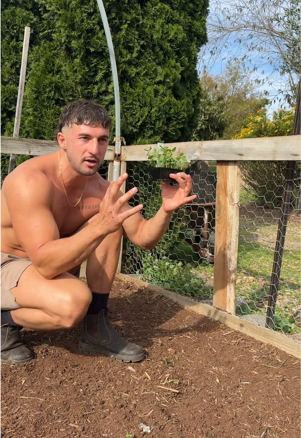 @lukefourn