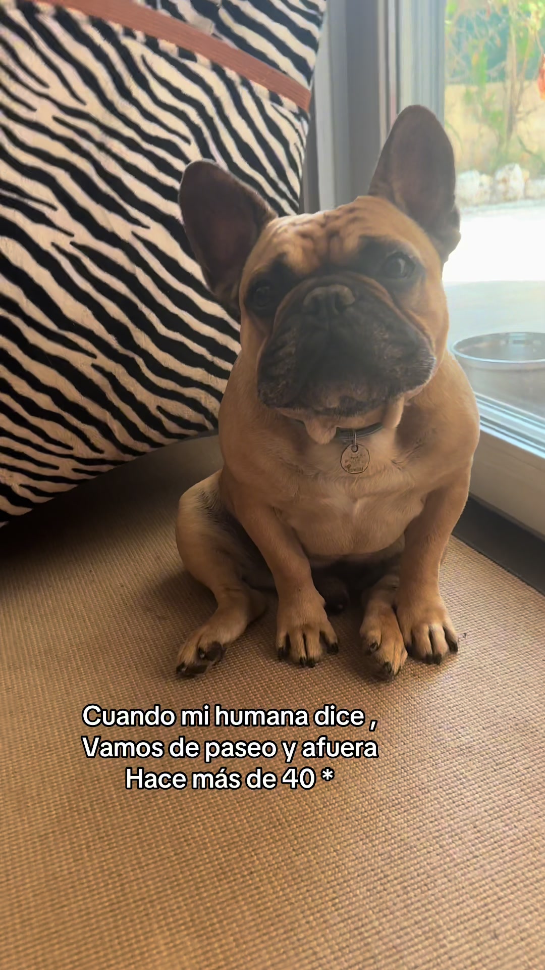 @Teamocerdito