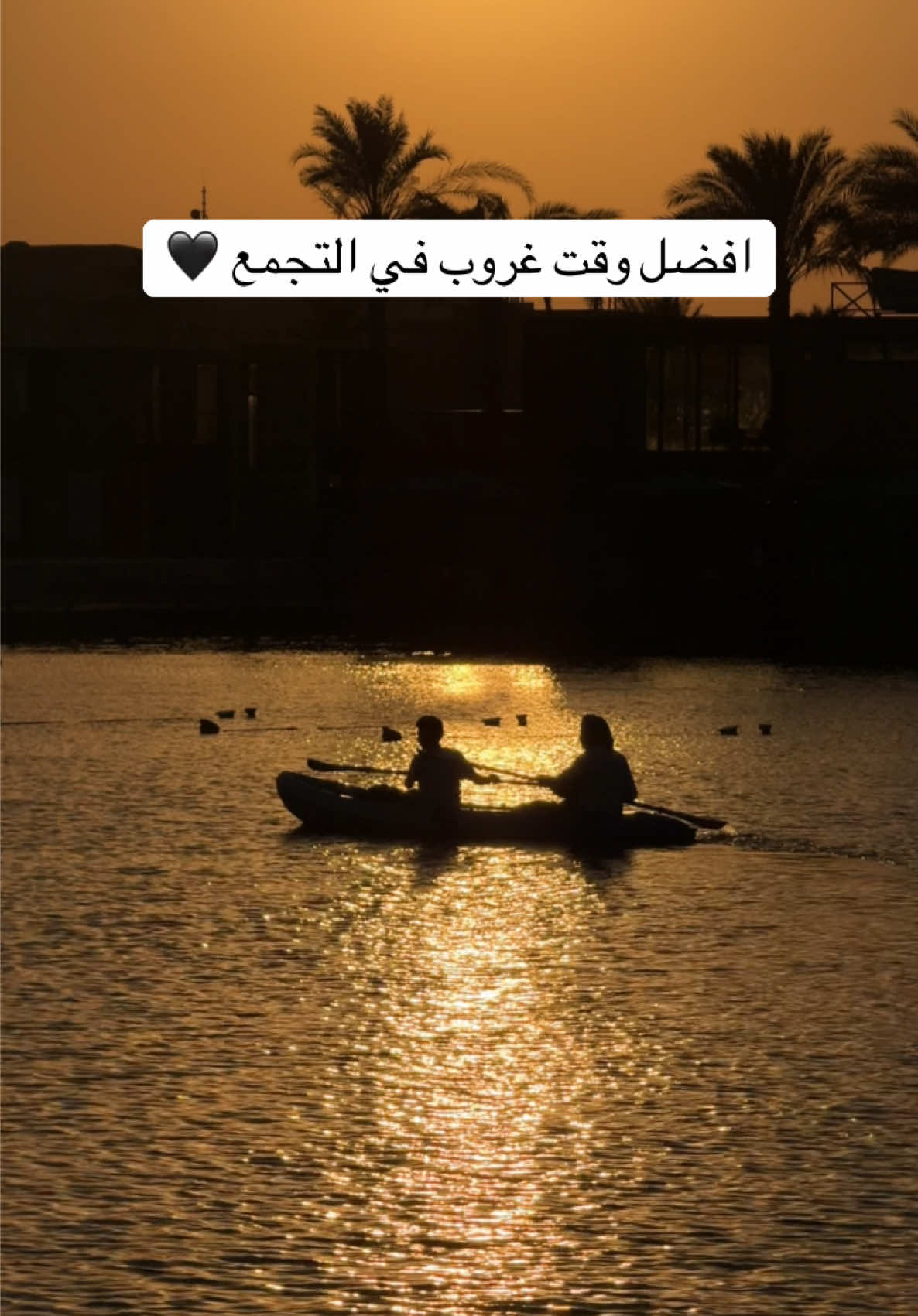 @هوازن خالد 🇾🇪🇪🇬