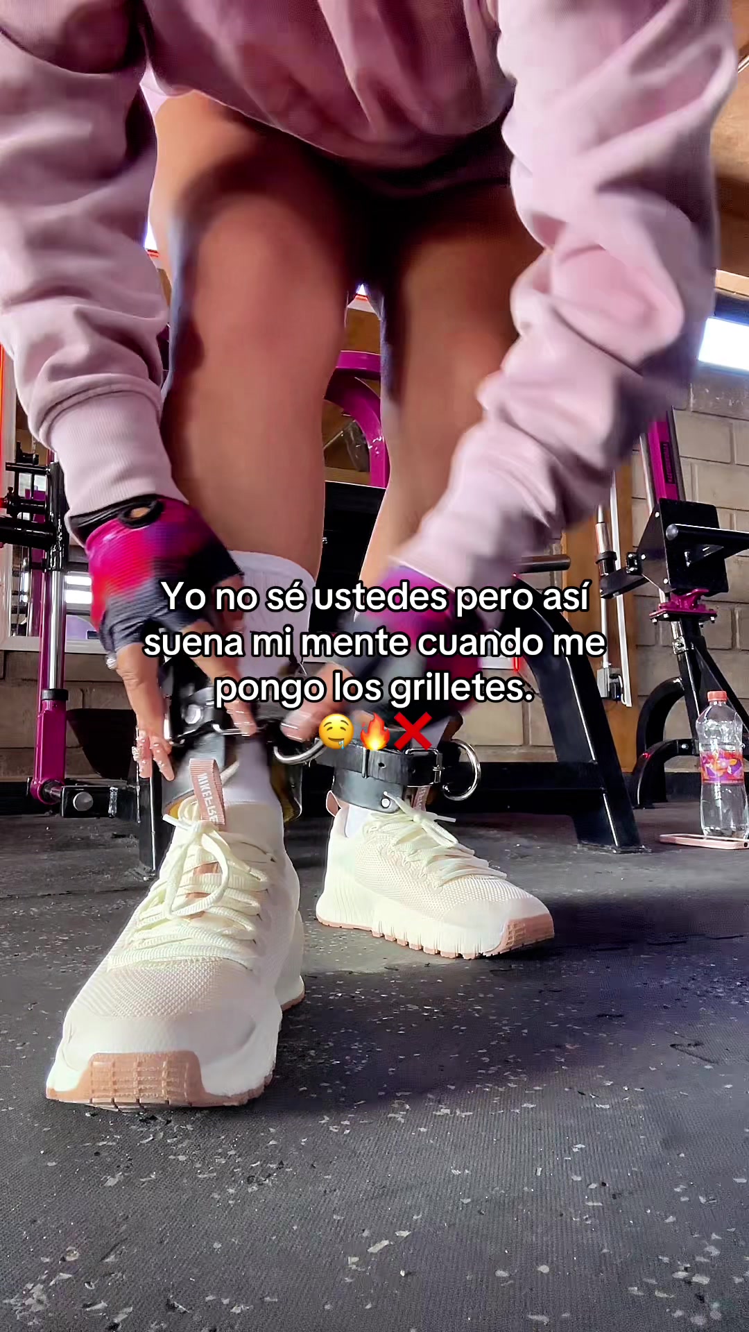 @✨🐈Dorismar Argth