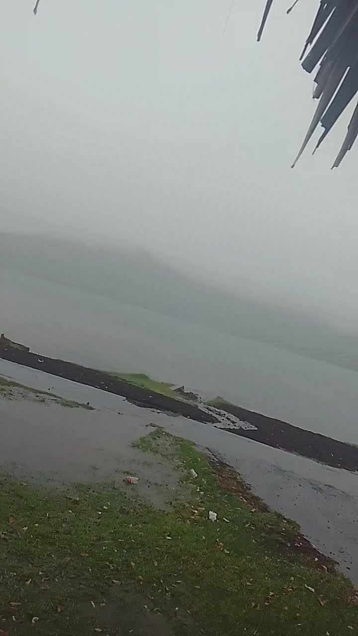@Lopez Sflores Lopez