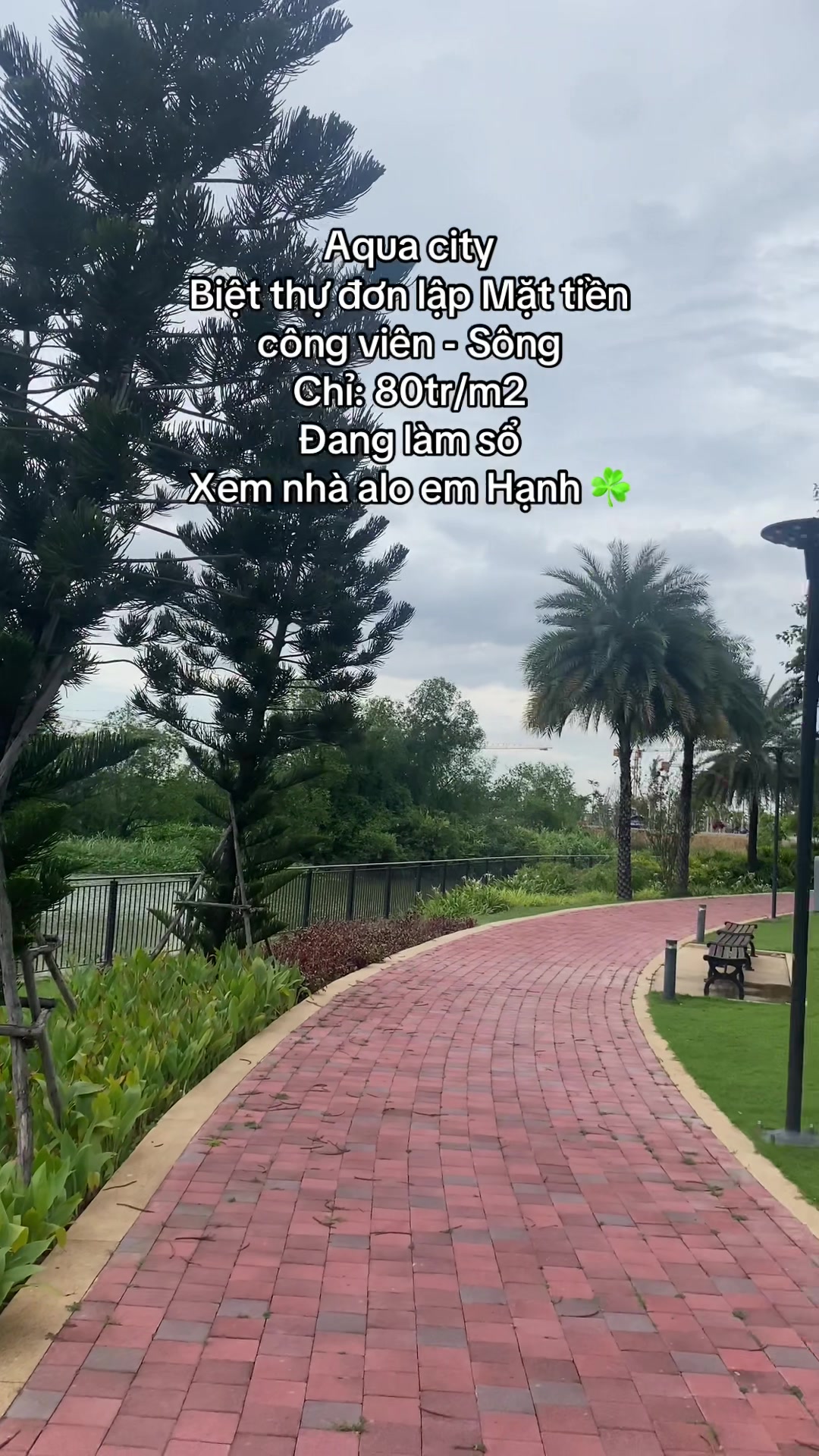 @Dương Hạnh