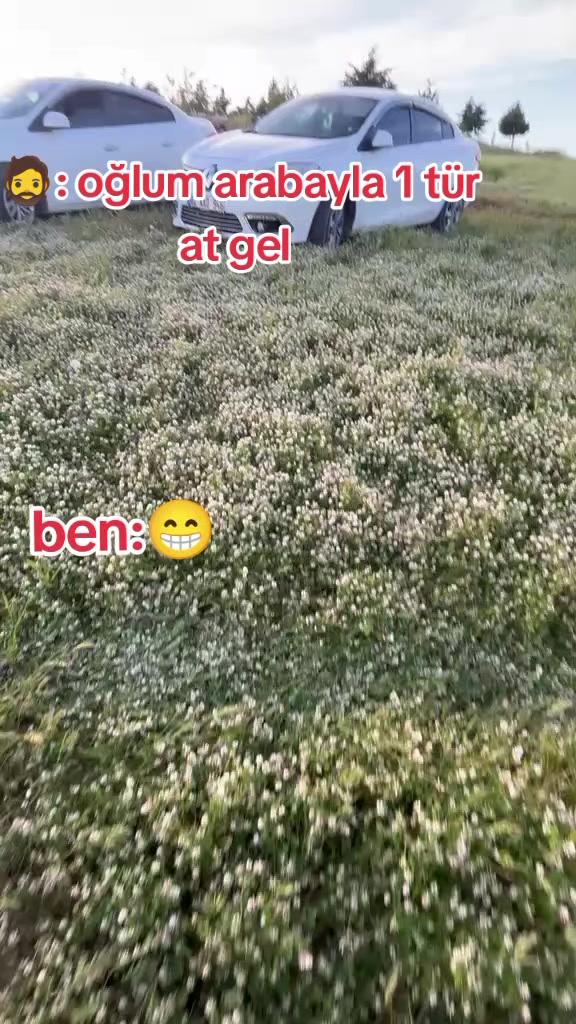 @gıri_fluence
