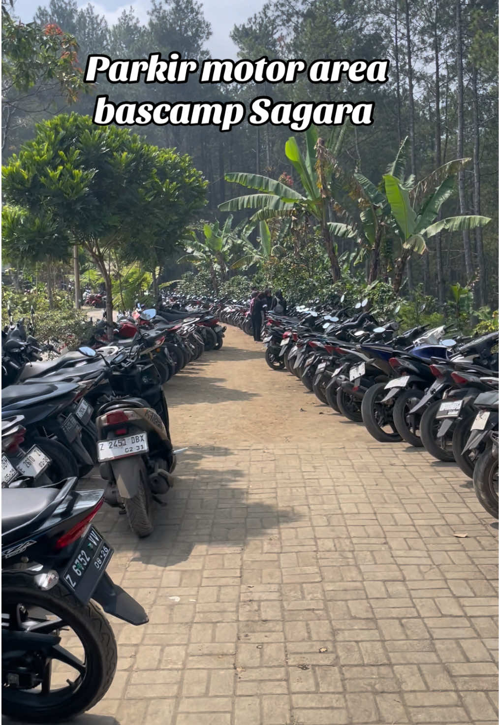 @Mt sagara