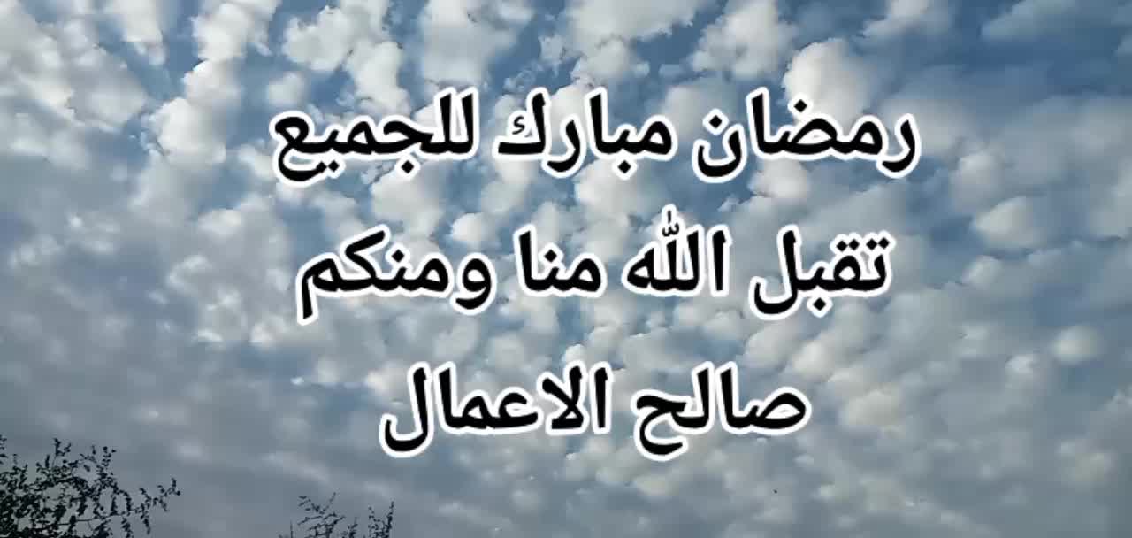 @°♡سنابل♡°