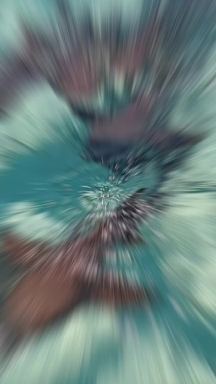 @thschic