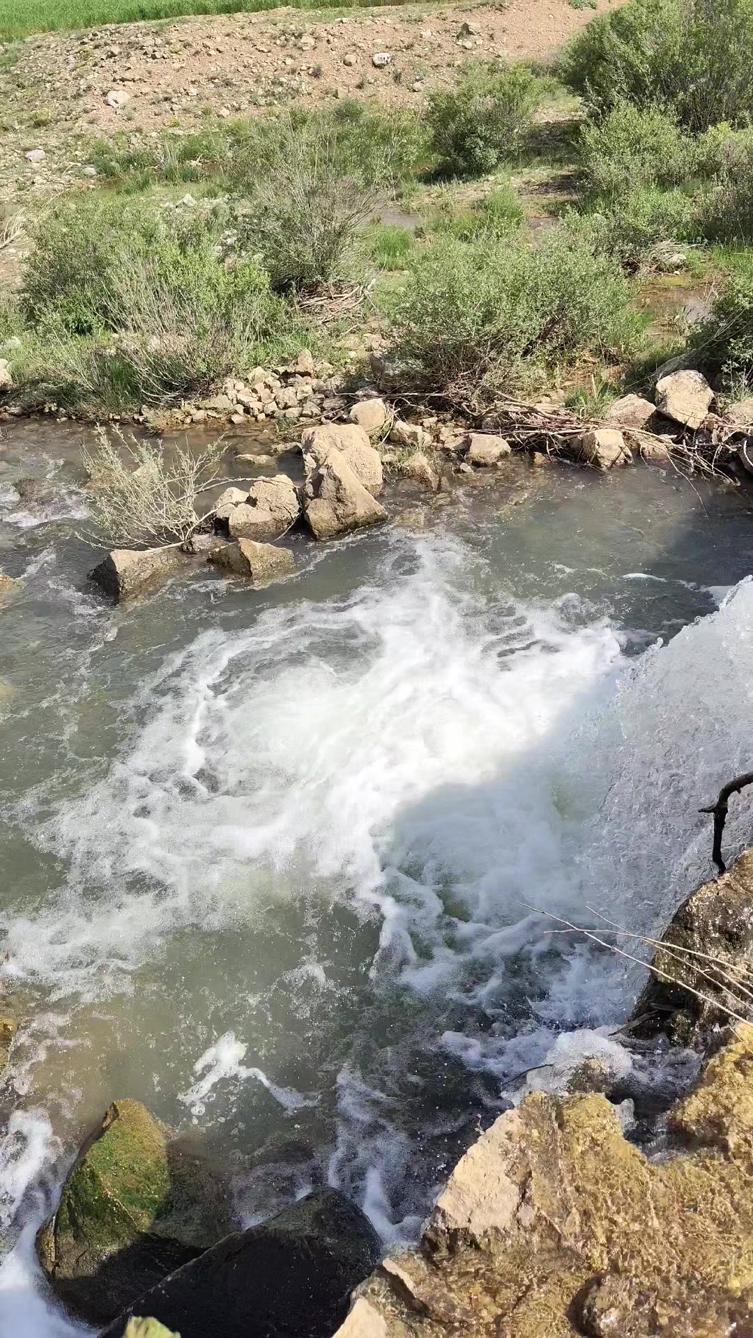 @Hazım Taktak